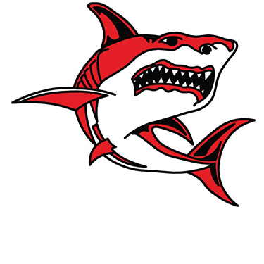 Dodges Ferry Sharks 2018
